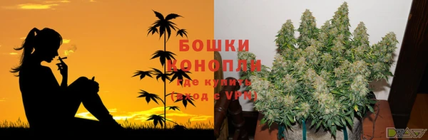 mdpv Белокуриха