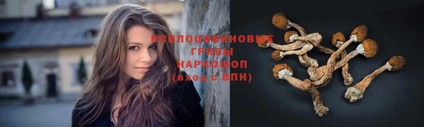 гидра Балабаново