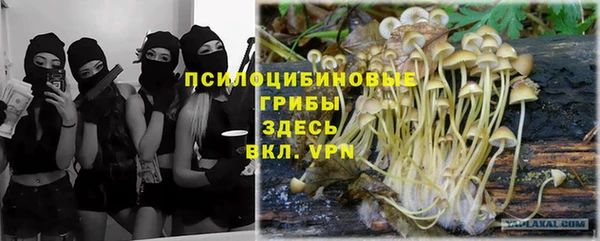 синтетический гашиш Белоозёрский