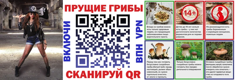 Псилоцибиновые грибы Psilocybine cubensis  hydra зеркало  Заполярный 